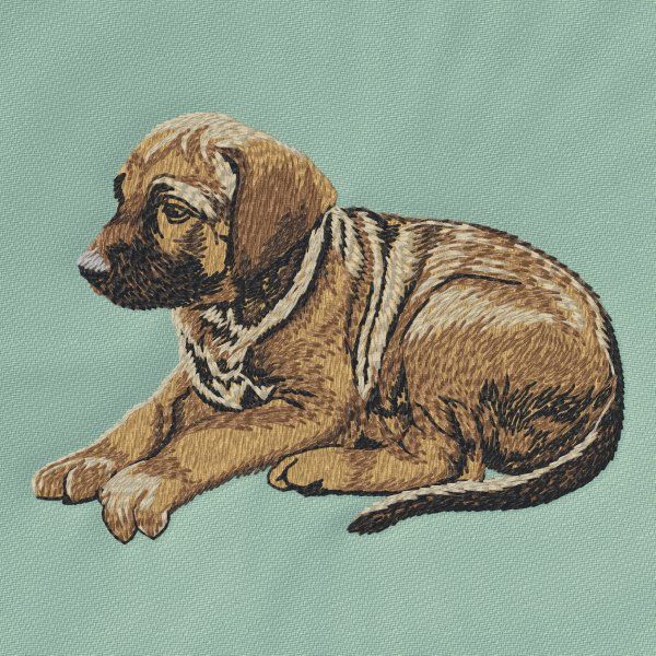 Rhodéský ridgeback 3