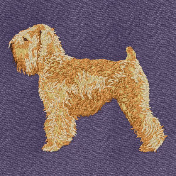 Soft-coated Wheaten Terrier 3