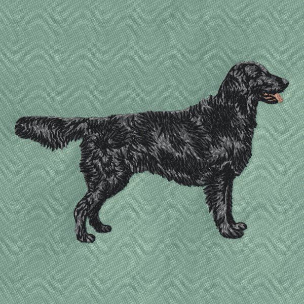 Flat coated retrívr 3