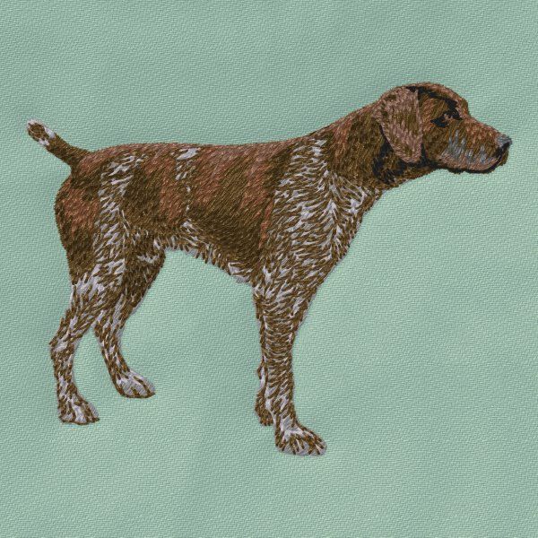 German Shorthaired Pointer 4