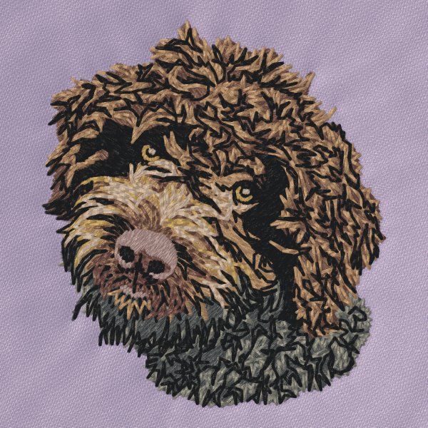 Romaňolský vodní pes