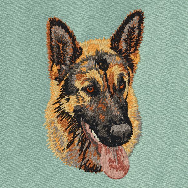 Německý ovčák 13