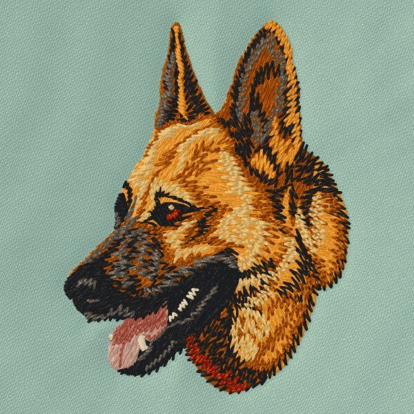 Německý ovčák 12