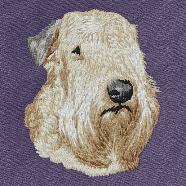 Soft-coated Wheaten Terrier 2