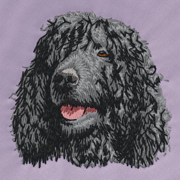 Irský vodní španěl