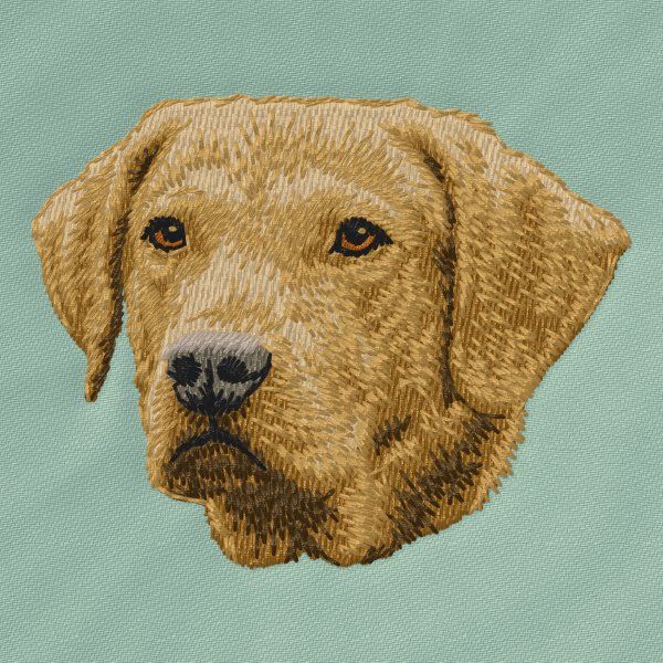 Chesapeake Bay Retriever 2