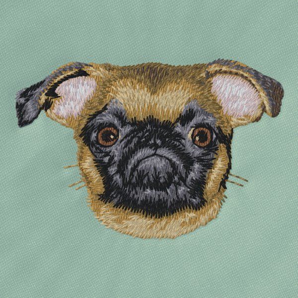 Griffon Bruxellois 3