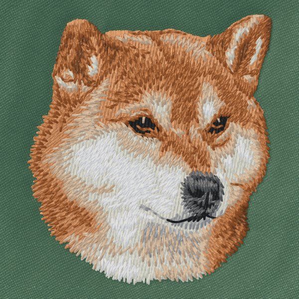Shiba-Inu 4