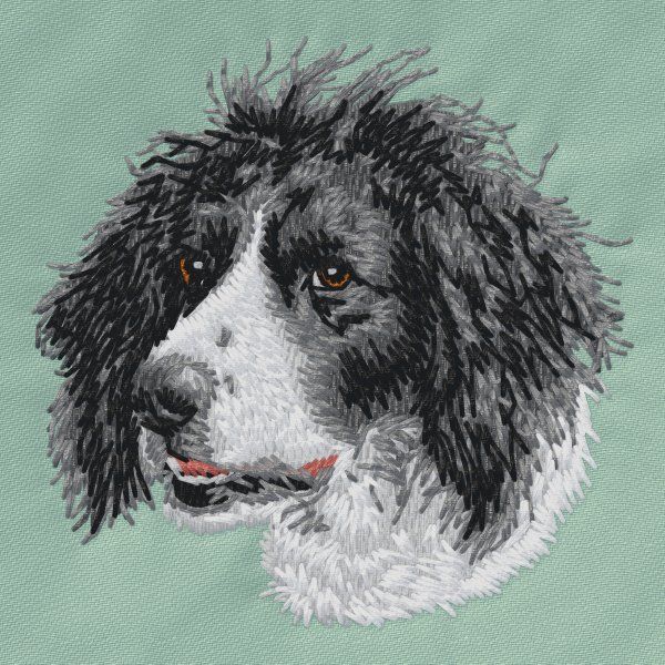 Großer Münsterländer