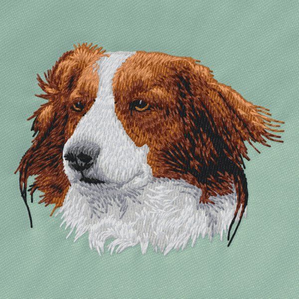 Kooikerhondje 1