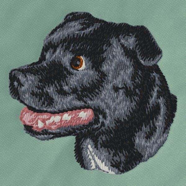 Staffordshire Bull Terrier 3