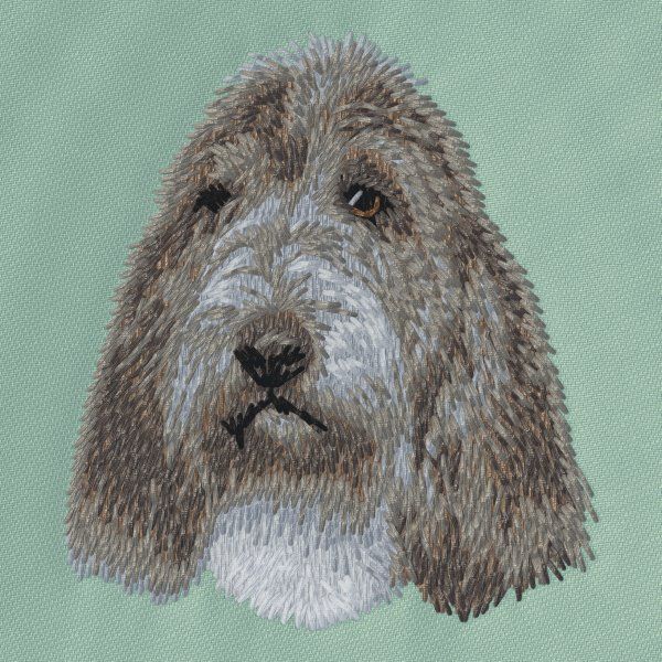 Petit Basset Griffon Vendéen