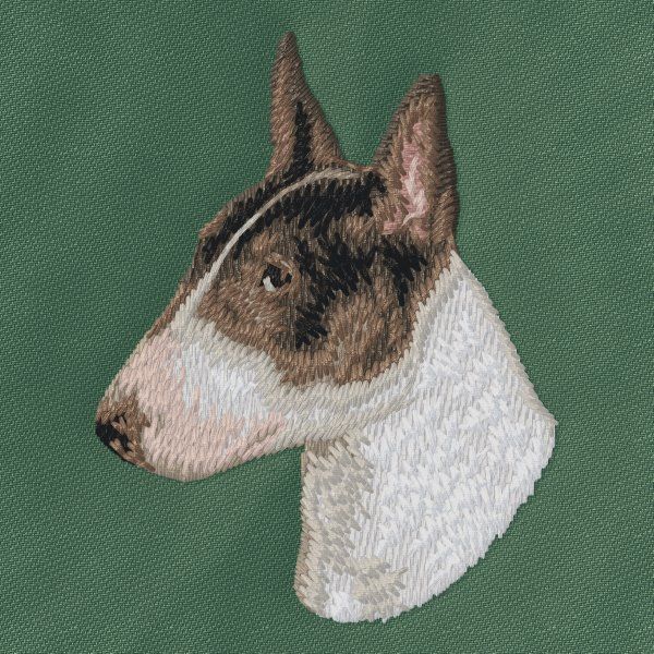 Anglický bulteriér 3