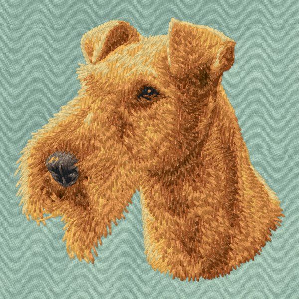 Irish Terrier 1
