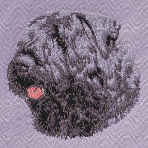 Flandrischer Treibhund 1