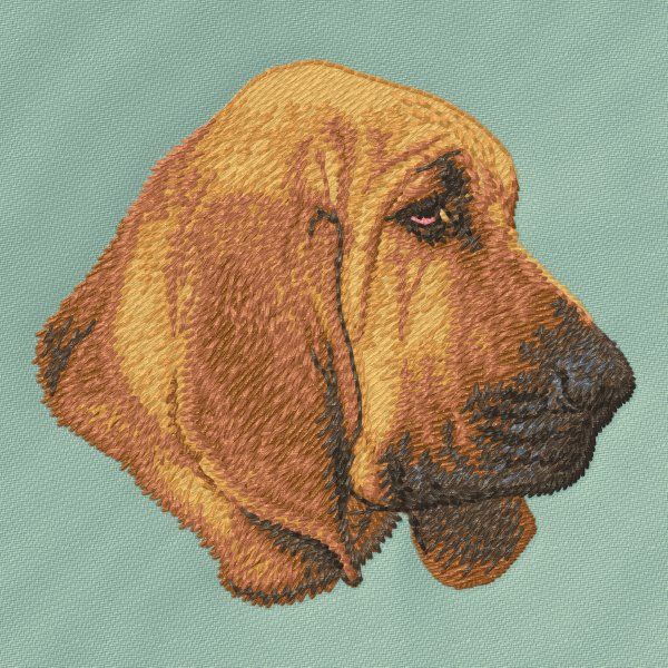 Bloodhound 2