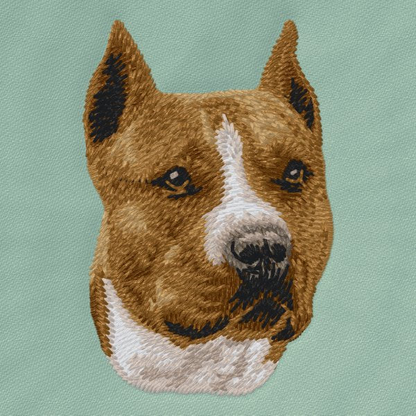 American Staffordshire Terrier 2