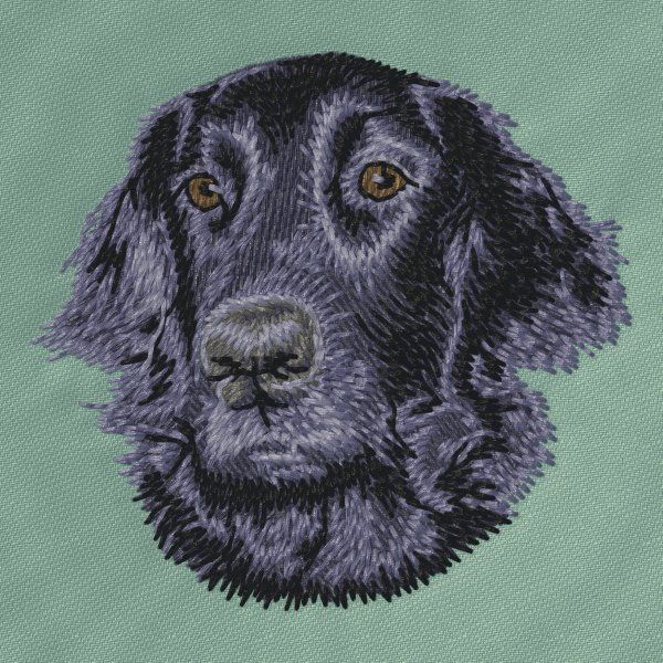 Flat coated retrívr 1