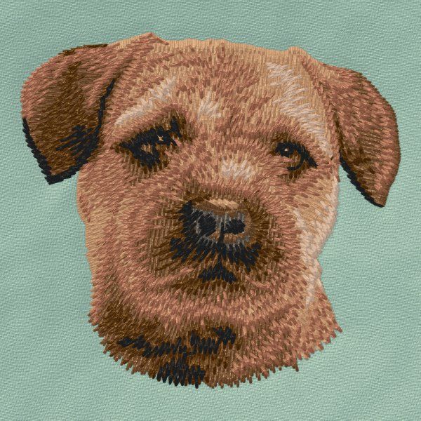 Border Terrier