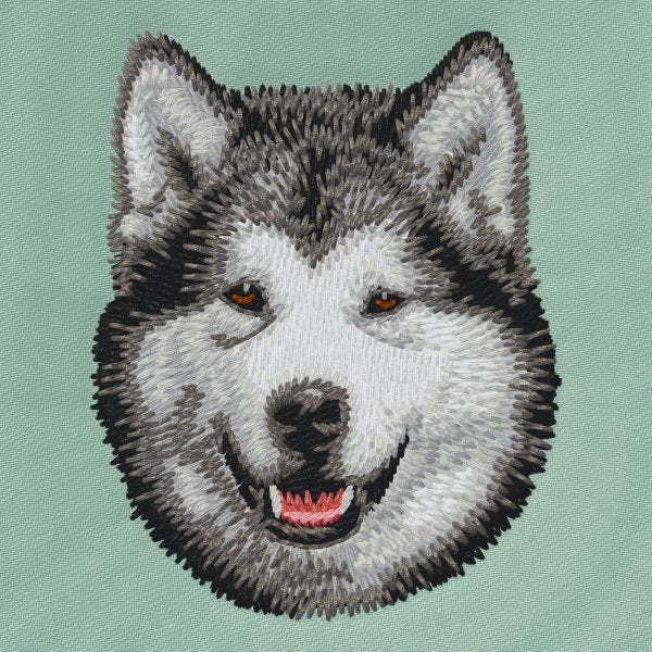 Alaskan Malamute 4