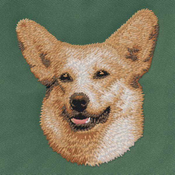 Welsh Corgi Pembroke 2