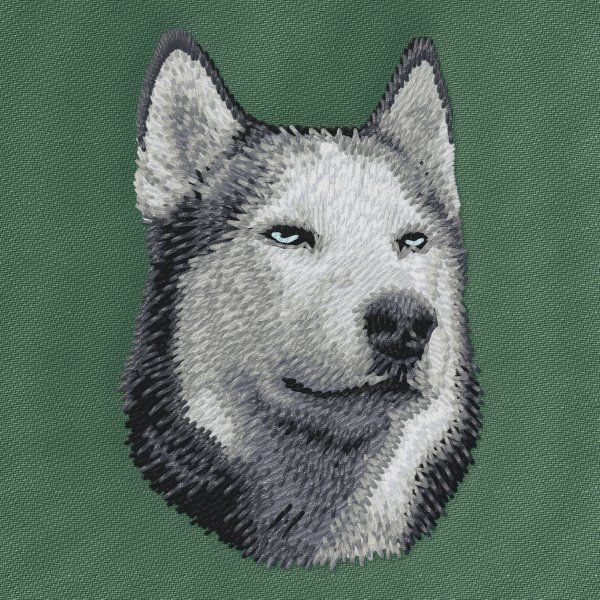 Sibiřský husky 3