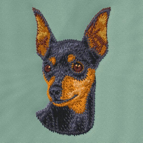Zwergpinscher
