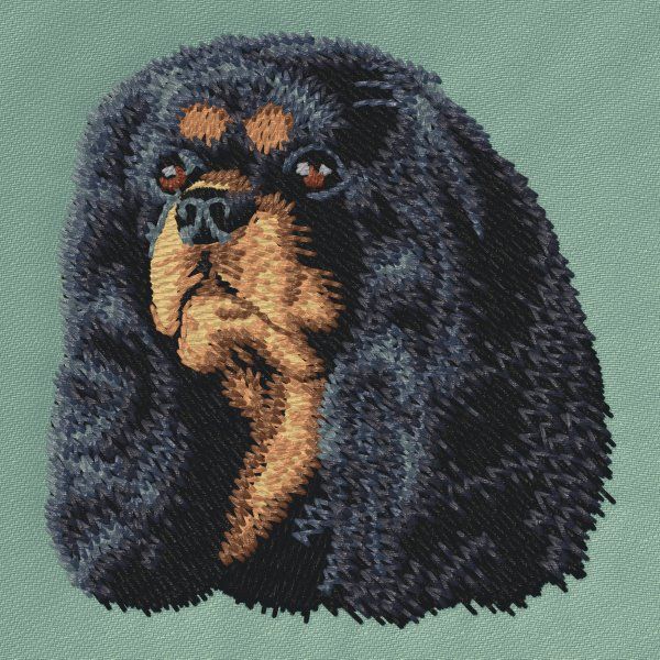 Cavalier King Charles Spaniel 5