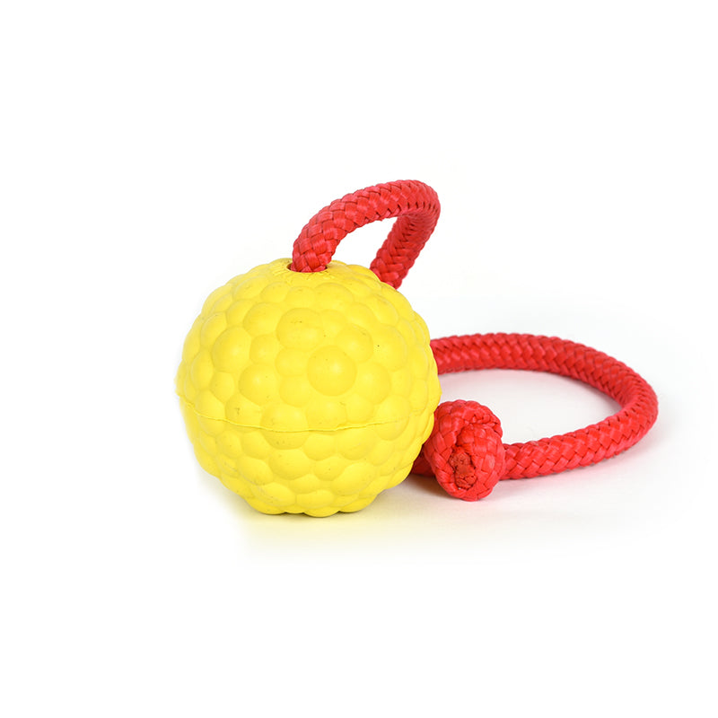 Ball mit Schnur Ø 6 cm - hart