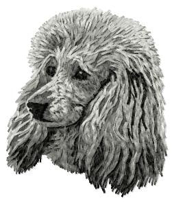 Poodle 5
