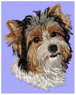 Yorkshire Terrier 3