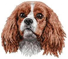 Cavalier King Charles Spaniel 2