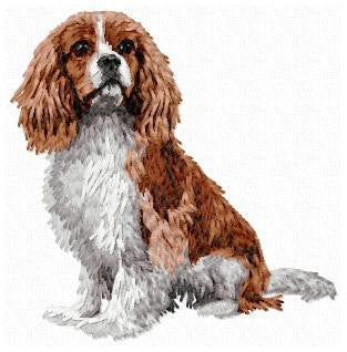 Cavalier King Charles Spaniel 1