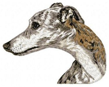 Whippet 1
