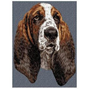 Basset Hound 1