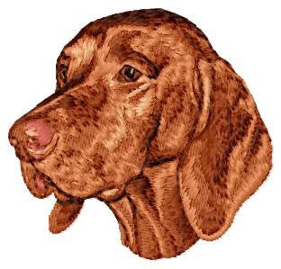Vizsla 1