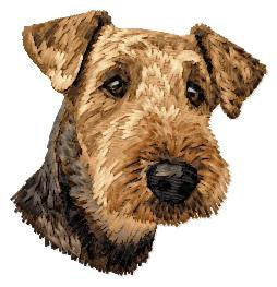Welsh Terrier 1