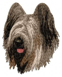 Briard 1