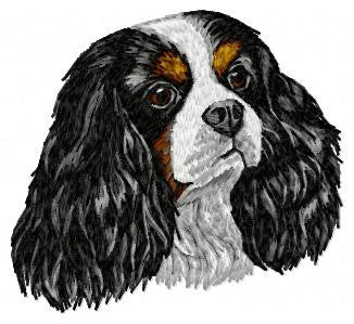 Cavalier King Charles Spaniel 4