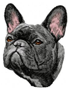 French Bulldog 3