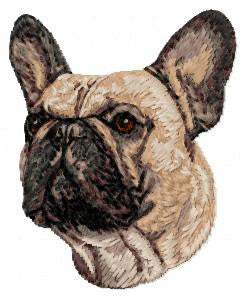 French Bulldog 2