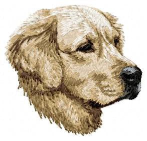 Golden Retriever 6