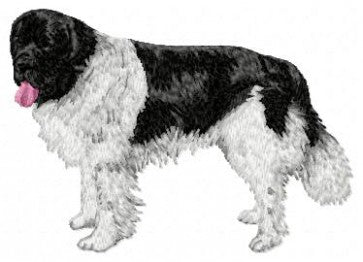 Landseer 1