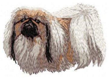 Pekingese 2