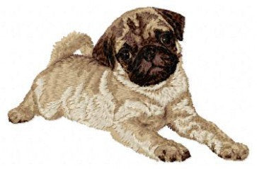 Pug 2