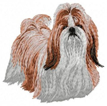 Shih-tzu 2