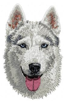 Sibiřský husky 2
