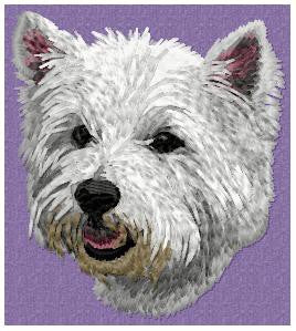 West Highland White Terrier 4