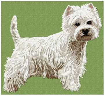West Highland White Terrier 3