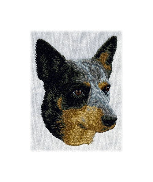 Australský honácký pes 1